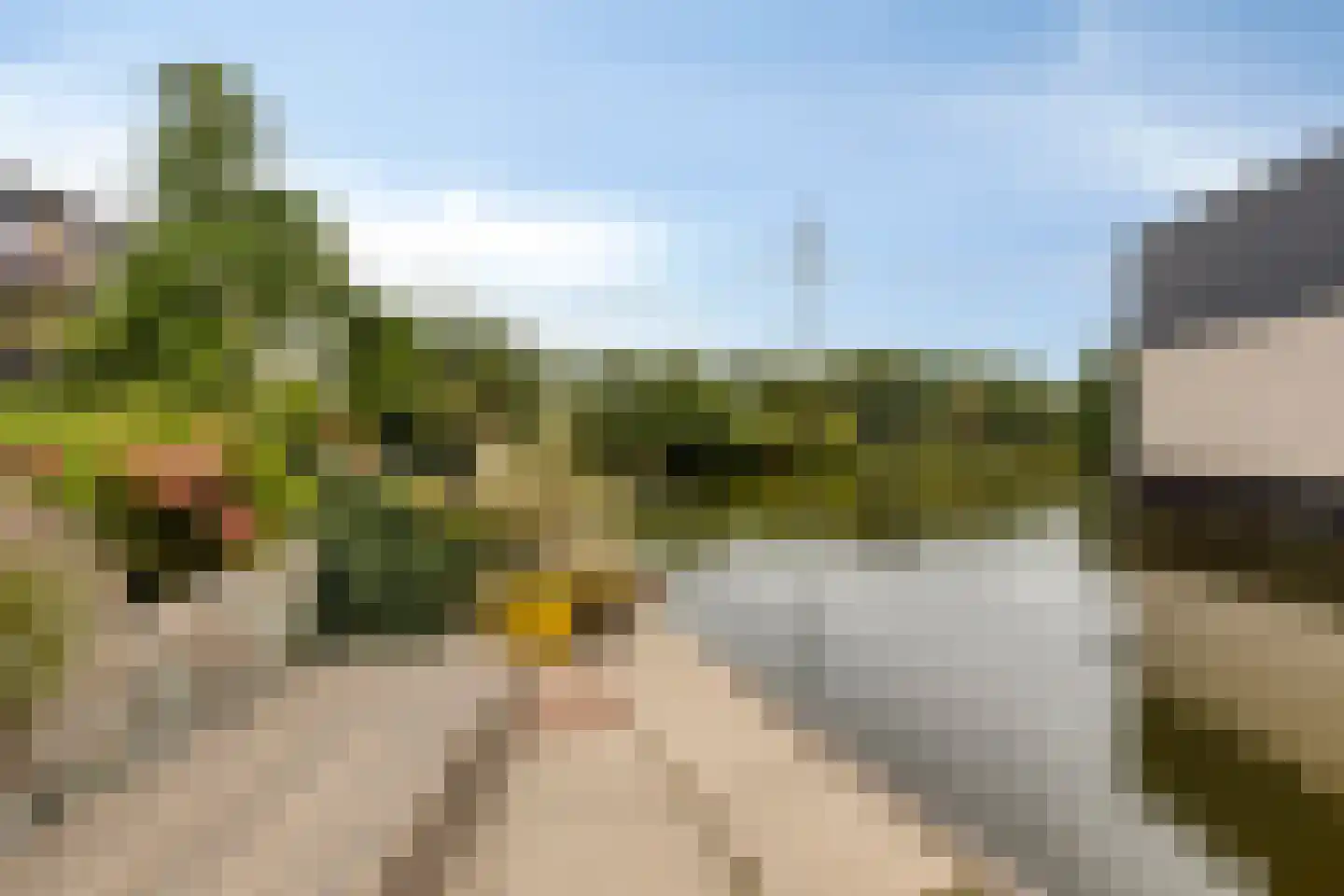 Snelrewaard 8 Capelle aan den IJssel thumbnail 29