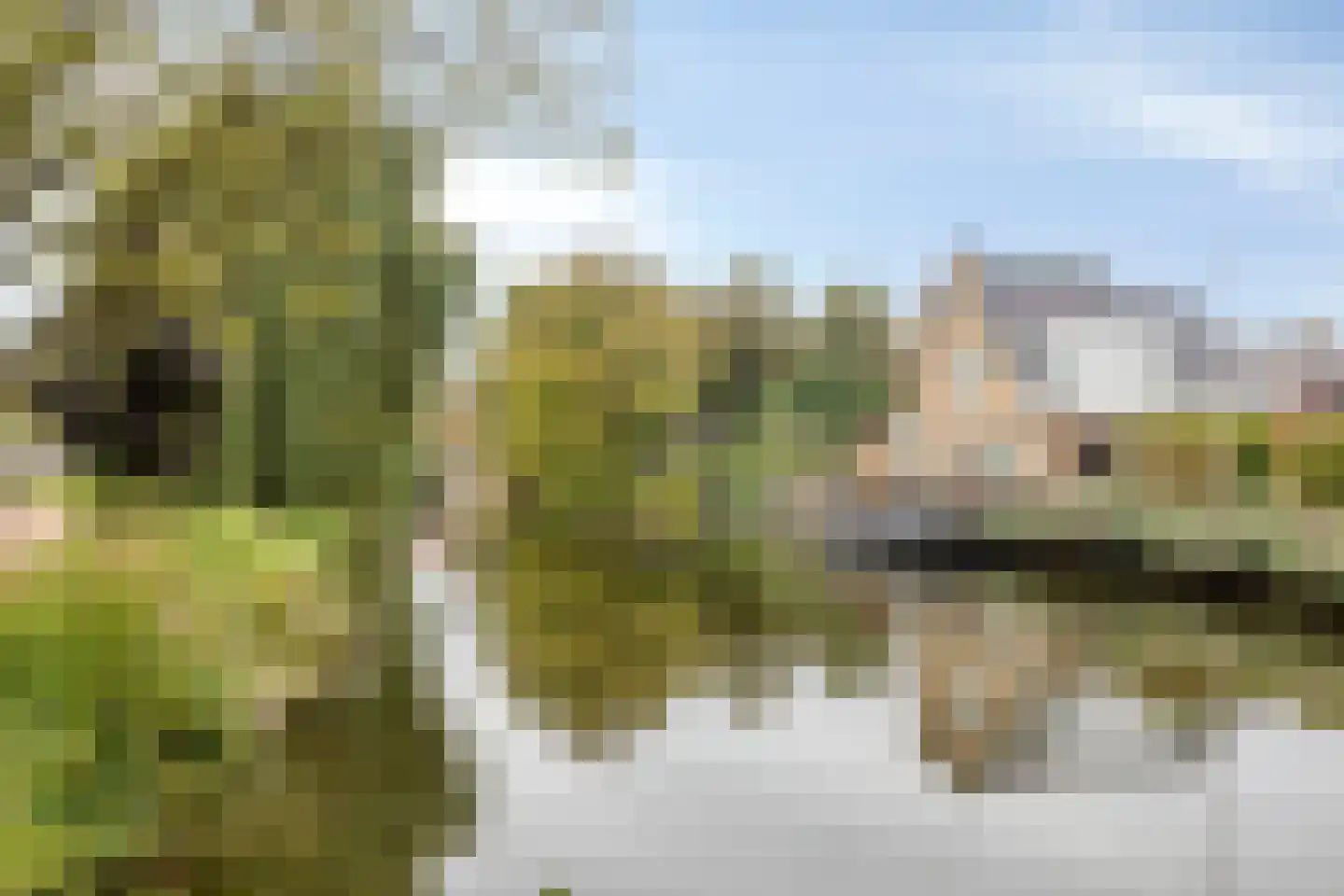 Snelrewaard 8 Capelle aan den IJssel thumbnail 30