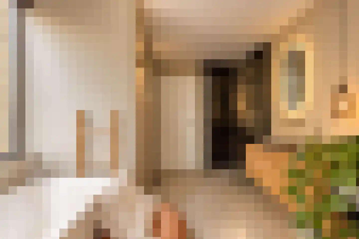 Snelrewaard 8 Capelle aan den IJssel thumbnail 5