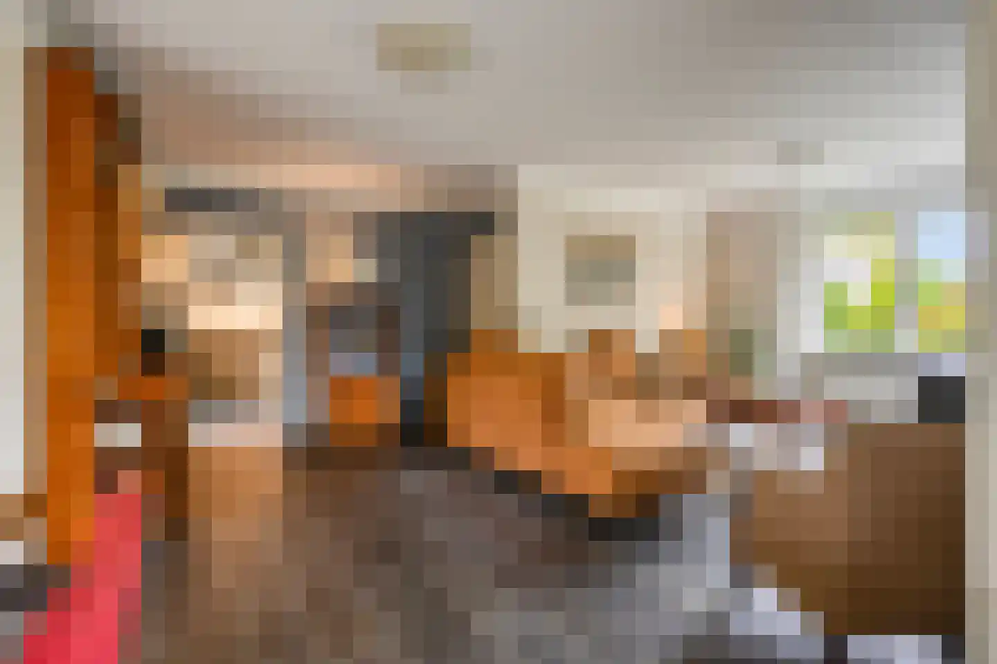 Sneppendijk 2 e Maarheeze thumbnail 12