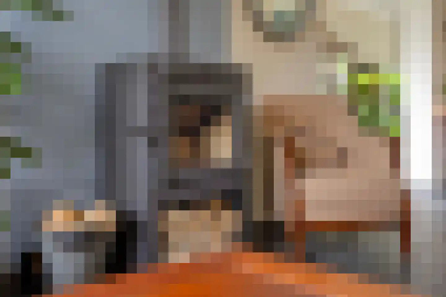 Sneppendijk 2 e Maarheeze thumbnail 14