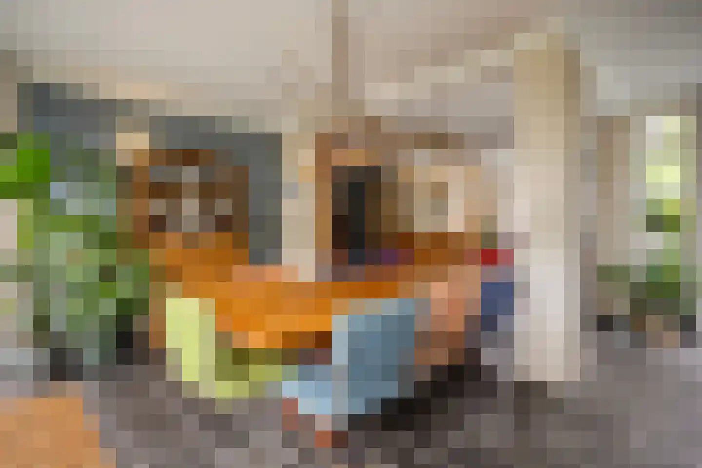 Sneppendijk 2 e Maarheeze thumbnail 16