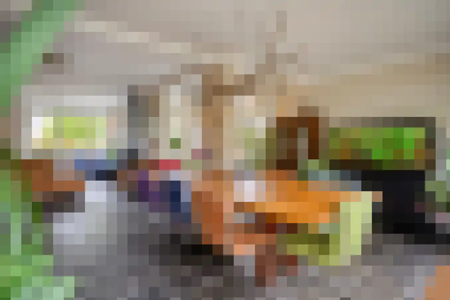 Sneppendijk 2 e Maarheeze thumbnail 17