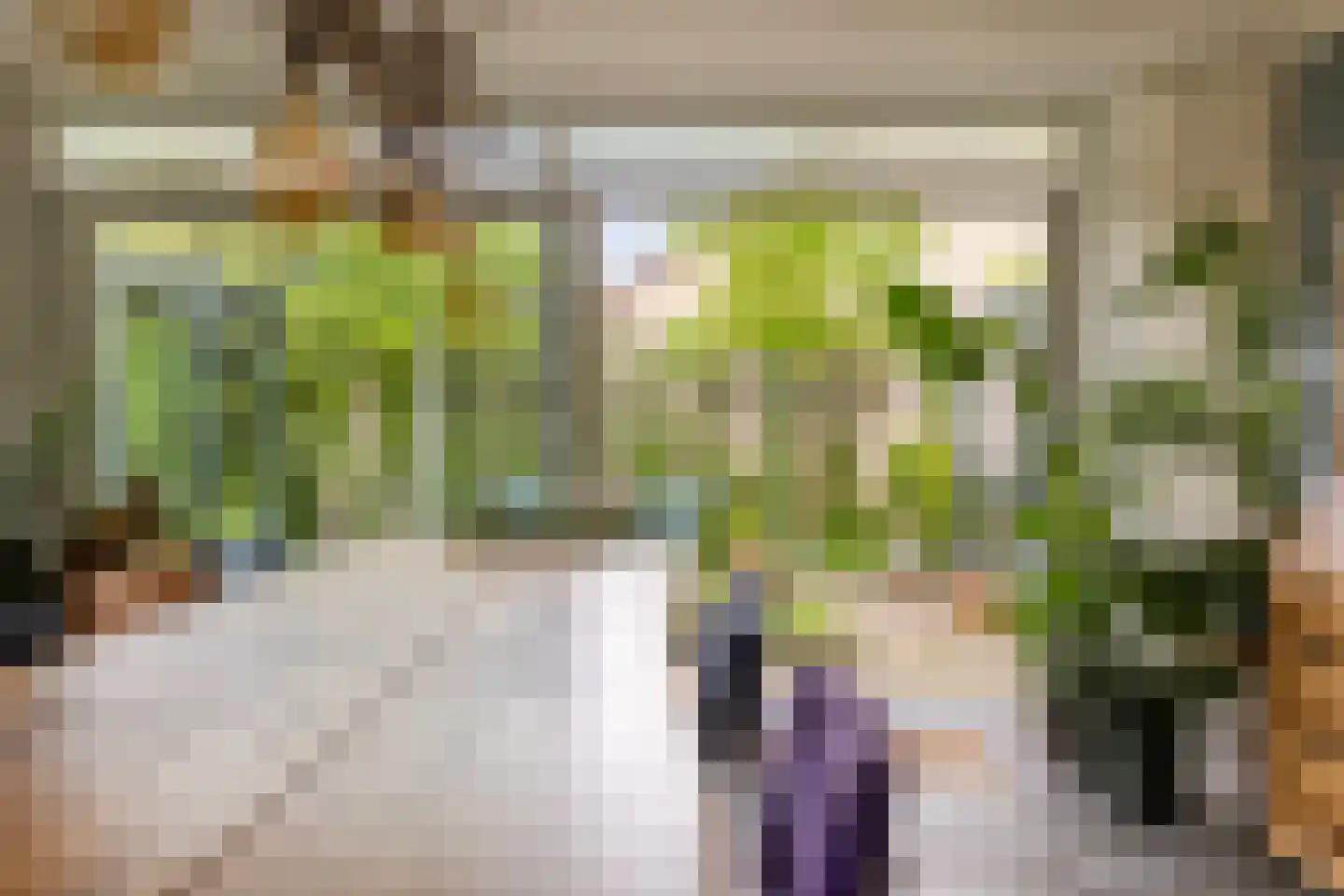 Sneppendijk 2 e Maarheeze thumbnail 18
