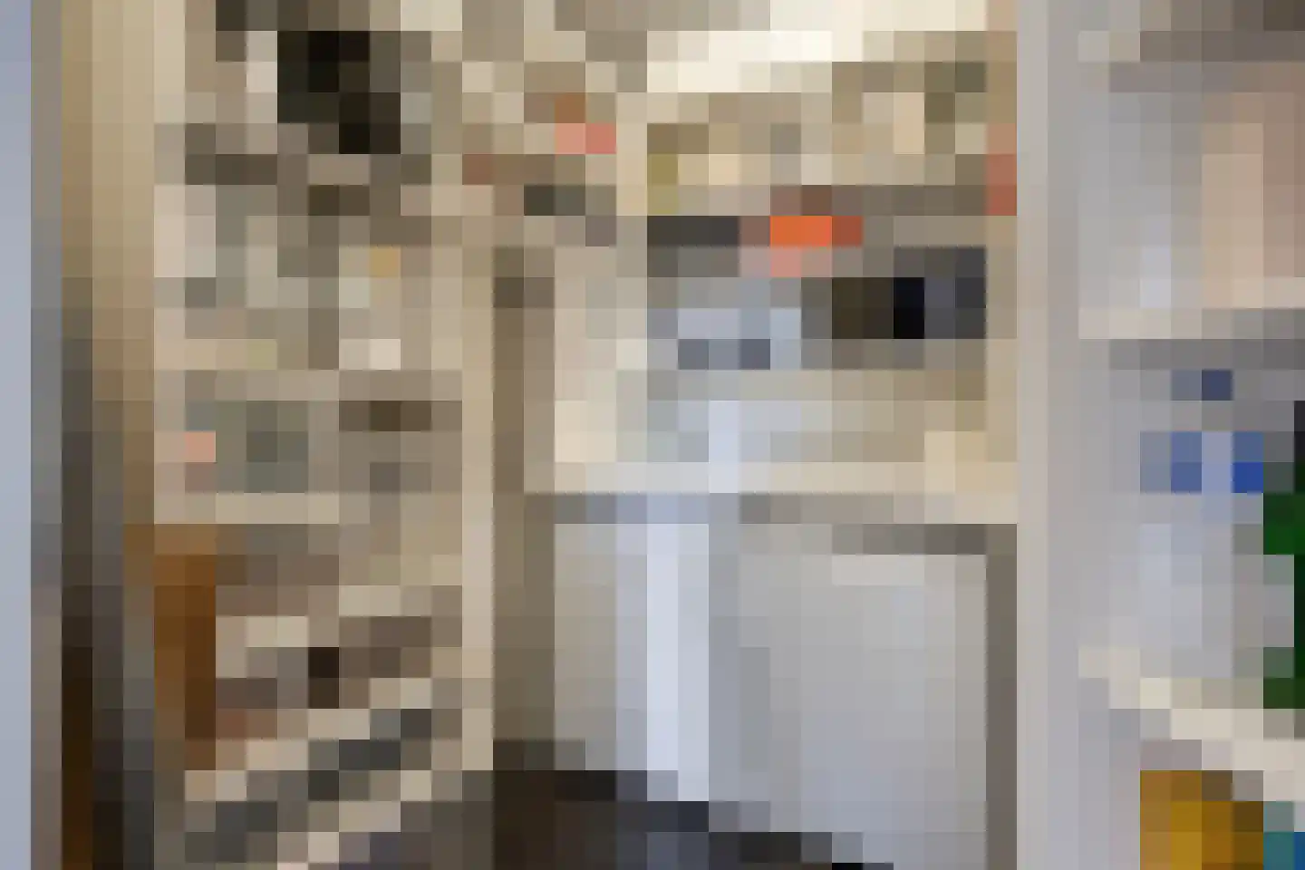 Sneppendijk 2 e Maarheeze thumbnail 24
