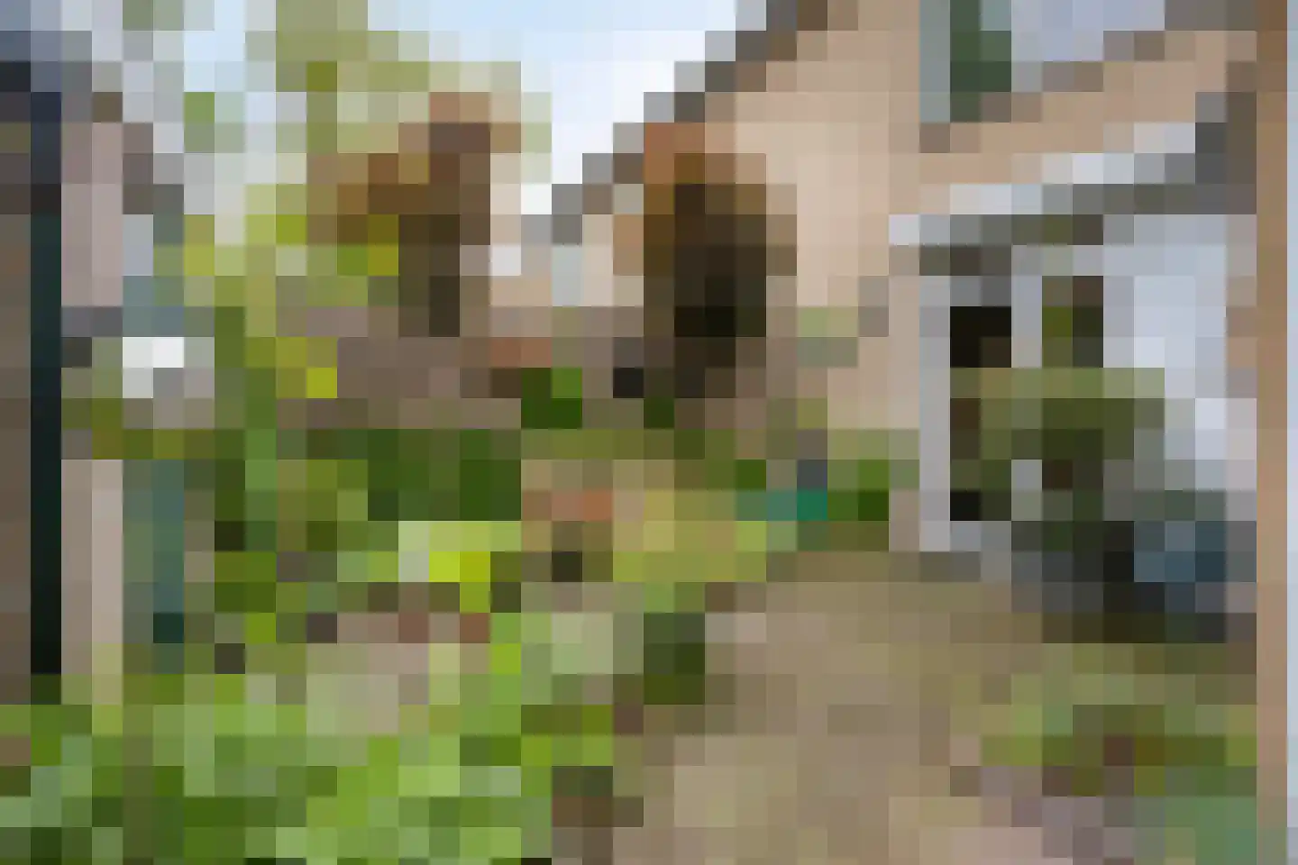 Sneppendijk 2 e Maarheeze thumbnail 26