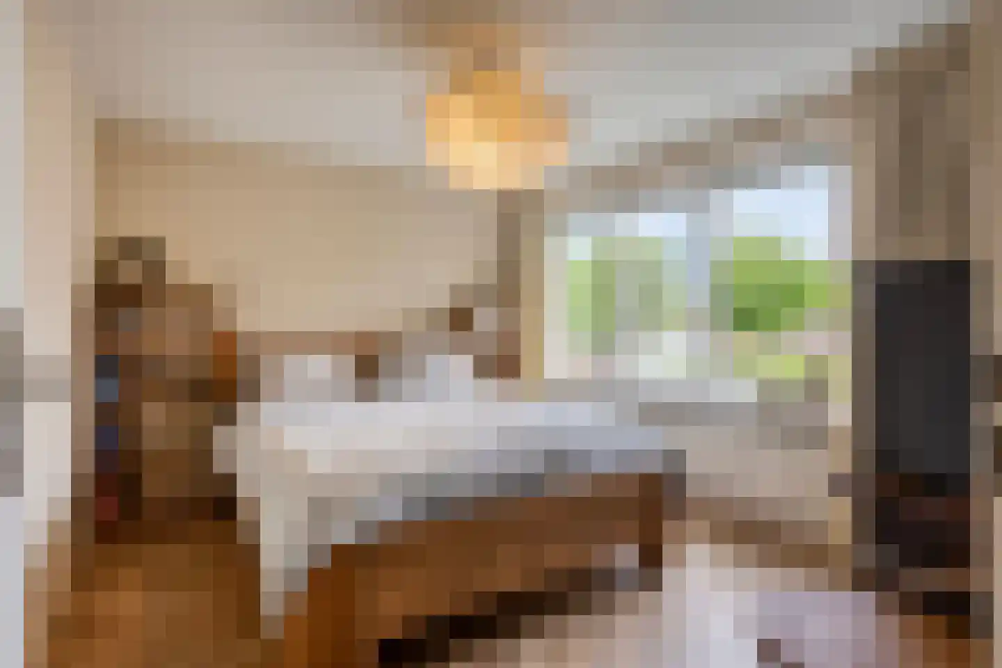 Sneppendijk 2 e Maarheeze thumbnail 29
