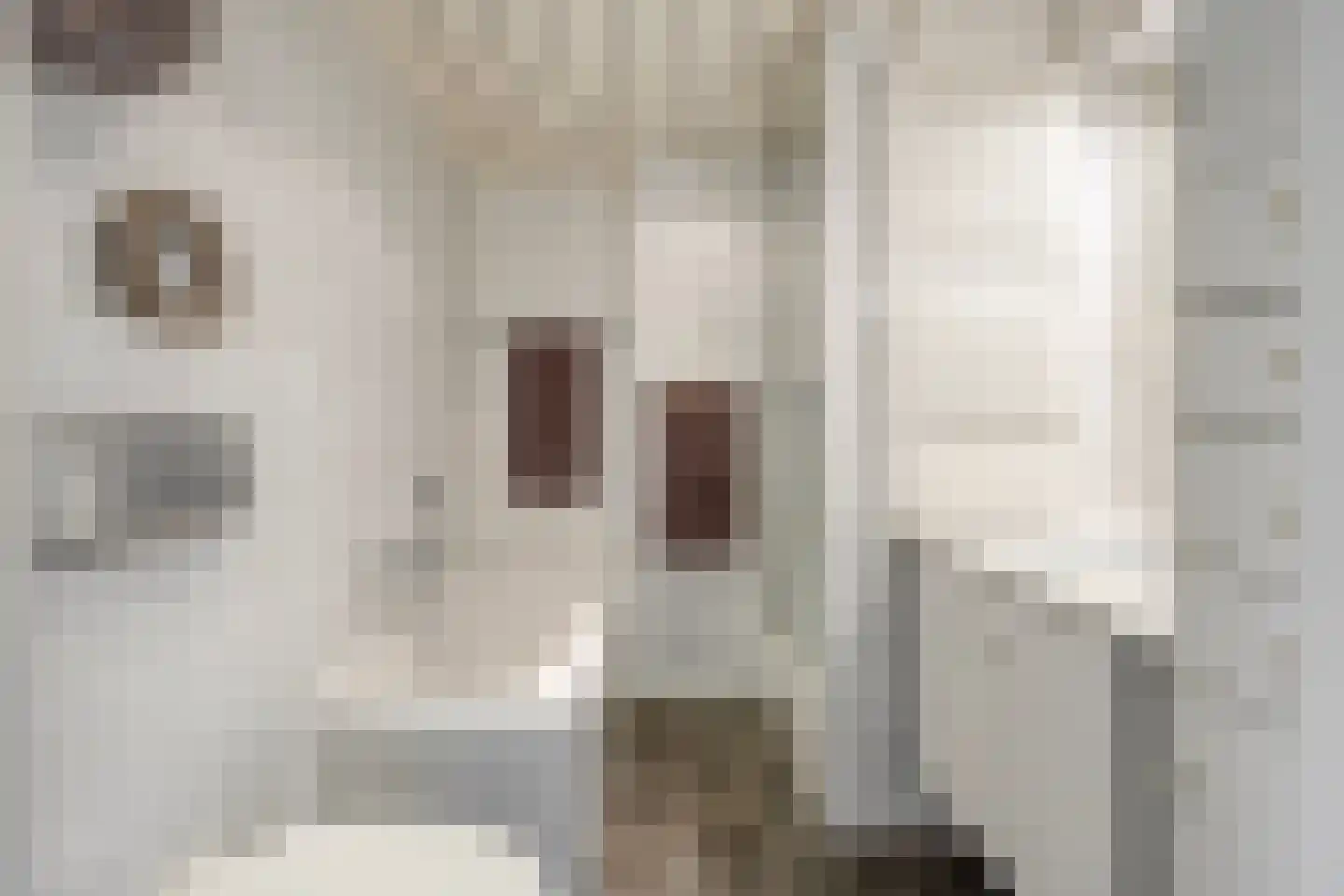 Sneppendijk 2 e Maarheeze thumbnail 39