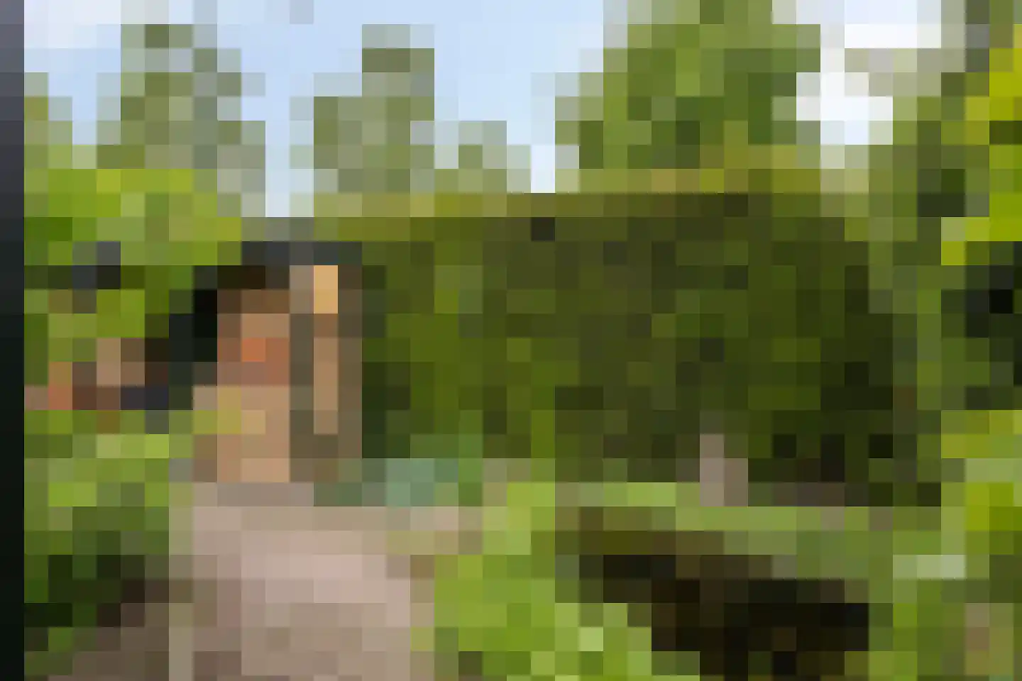 Sneppendijk 2 e Maarheeze thumbnail 49