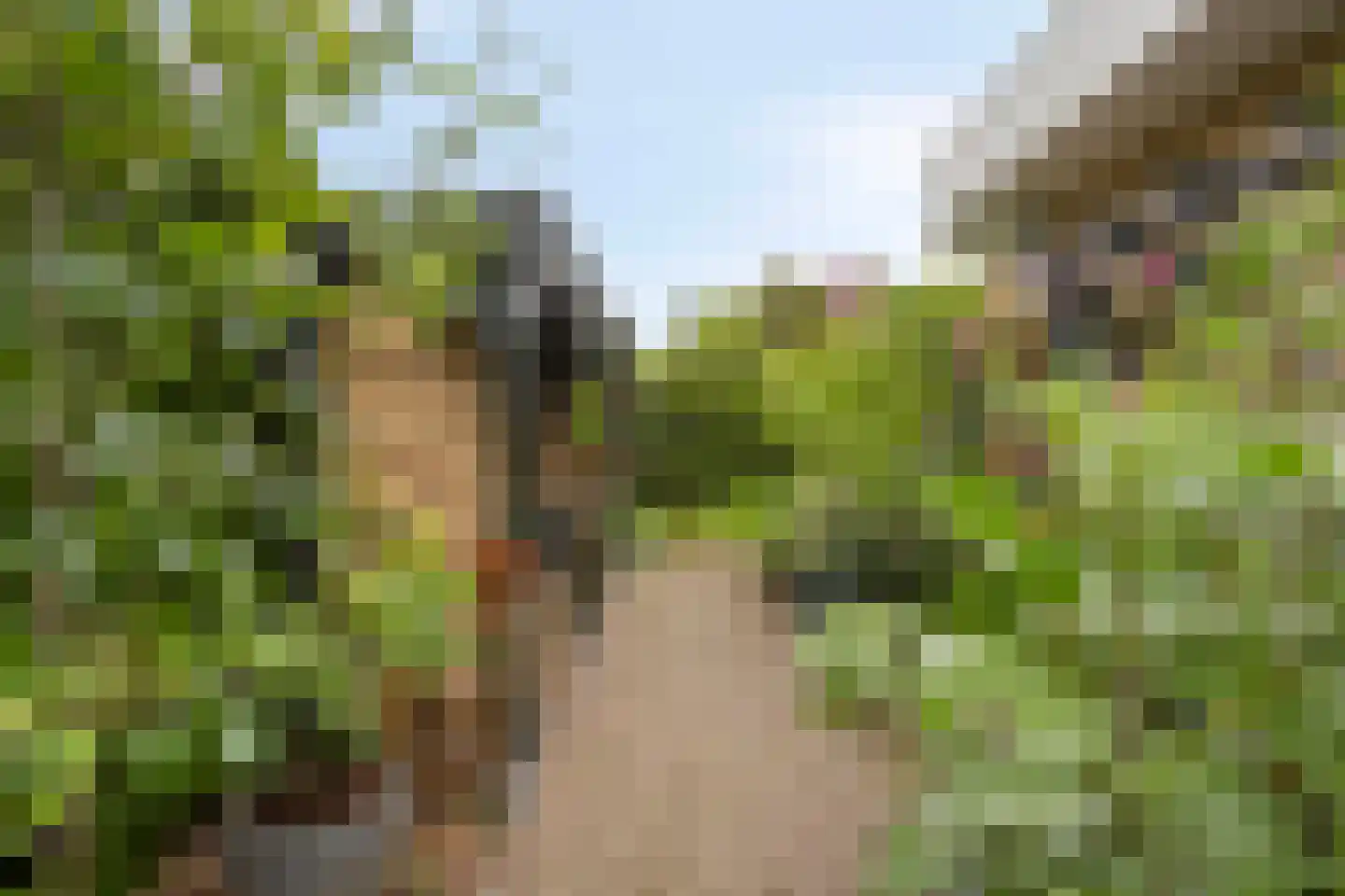 Sneppendijk 2 e Maarheeze thumbnail 51