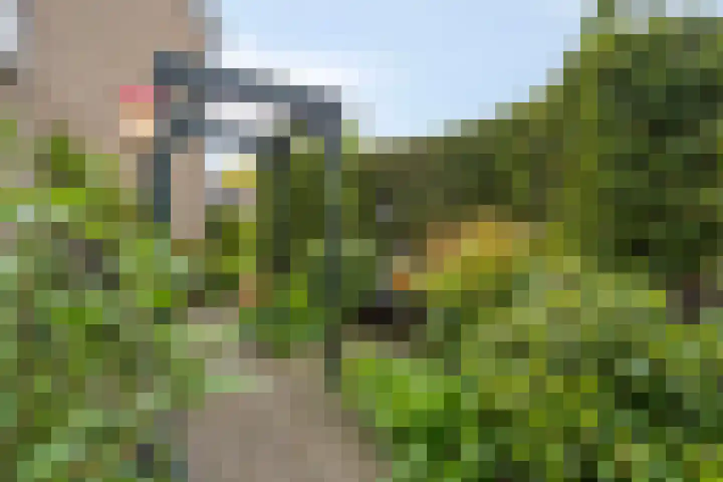 Sneppendijk 2 e Maarheeze thumbnail 52