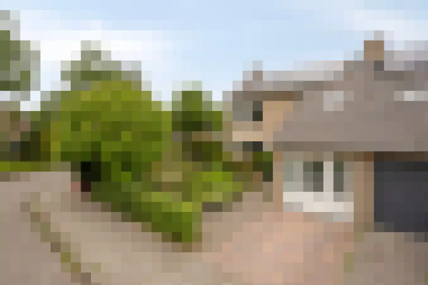 Sneppendijk 2 e Maarheeze thumbnail 54