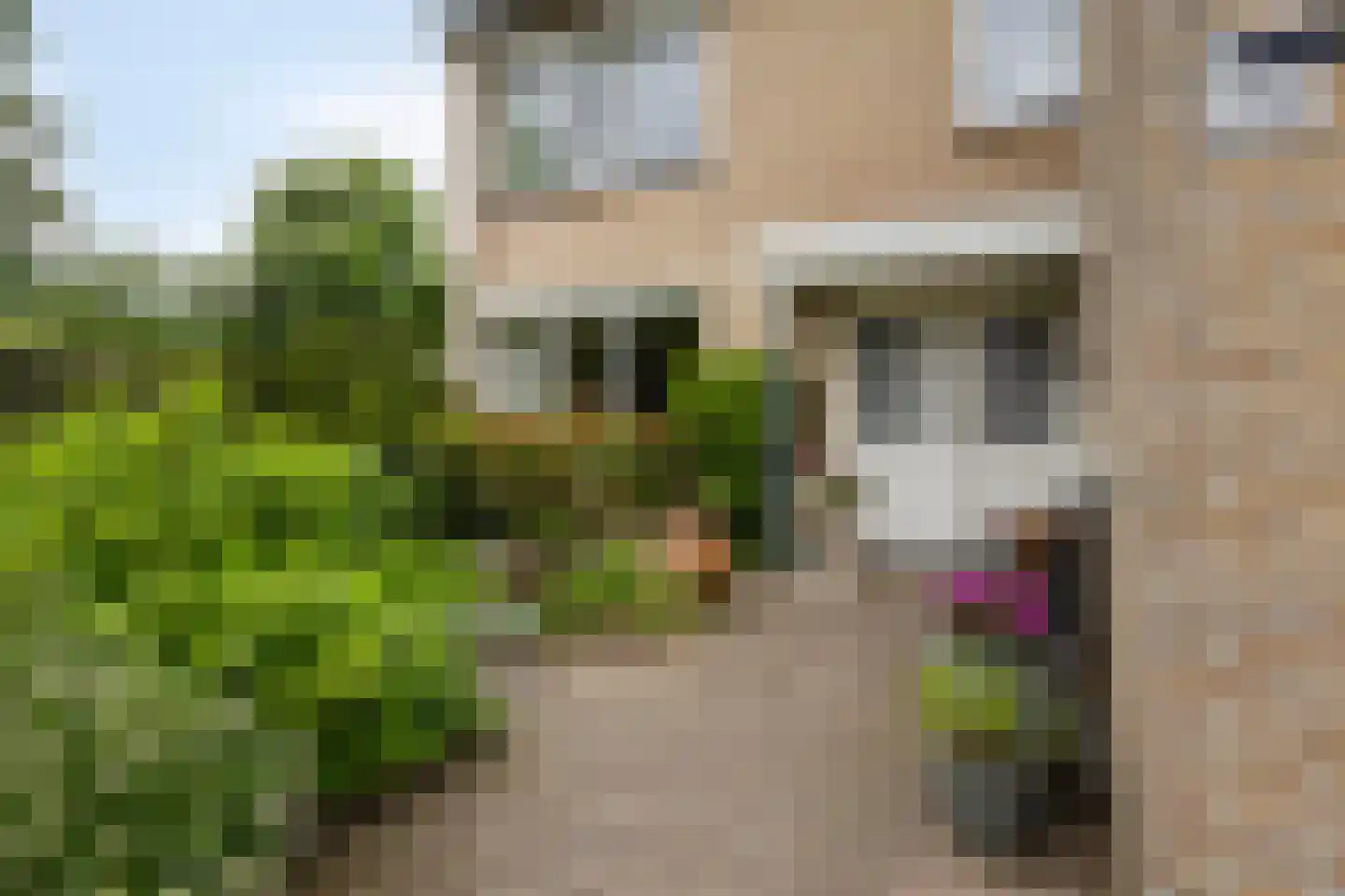 Sneppendijk 2 e Maarheeze thumbnail 6