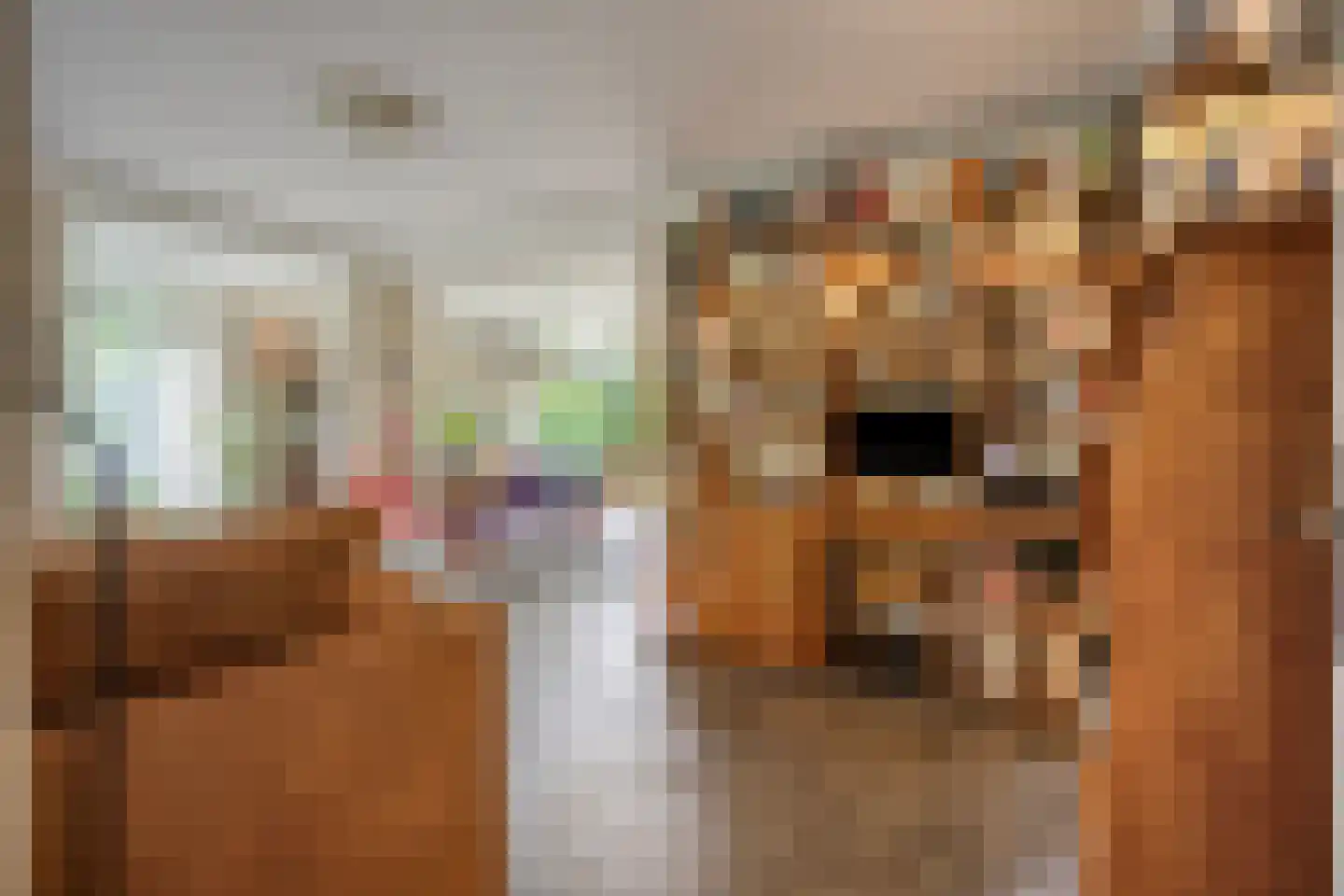 Sneppendijk 2 e Maarheeze thumbnail 9