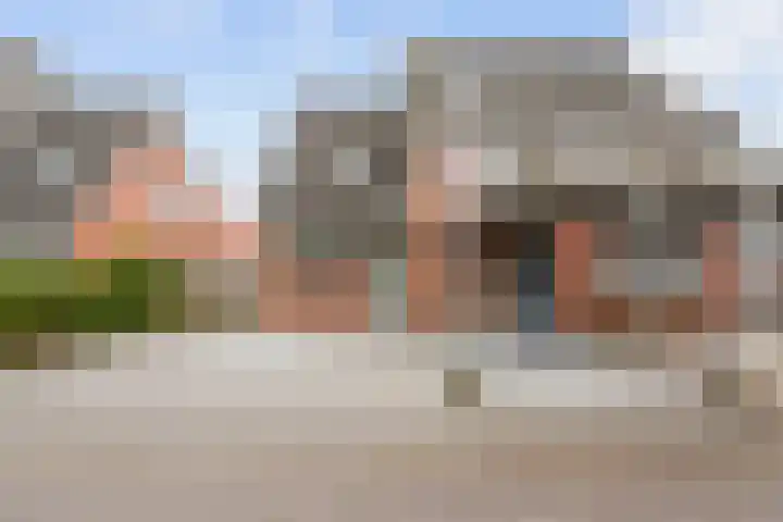 Snepper 15 Franeker thumbnail 10