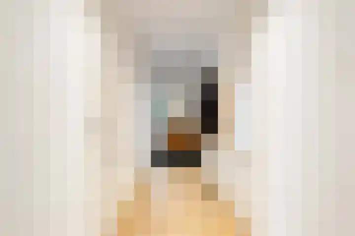 Snepper 15 Franeker thumbnail 13