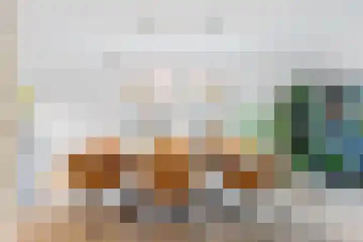 Snepper 15 Franeker thumbnail 15