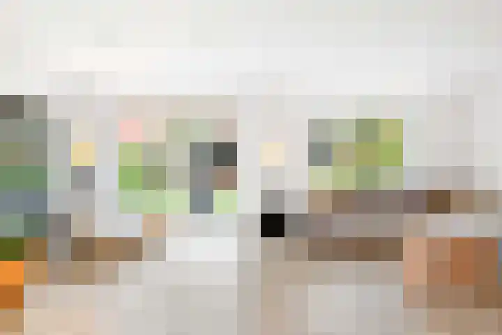 Snepper 15 Franeker thumbnail 17