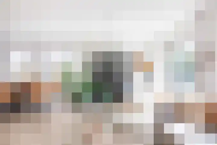 Snepper 15 Franeker thumbnail 18