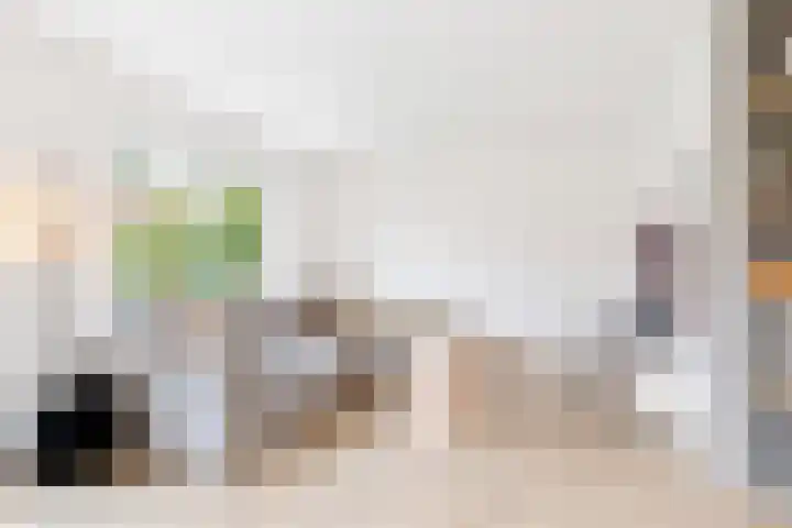 Snepper 15 Franeker thumbnail 19
