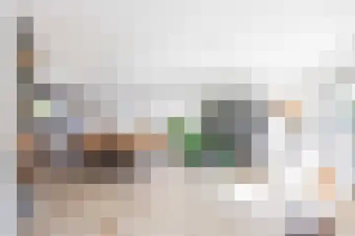 Snepper 15 Franeker thumbnail 21