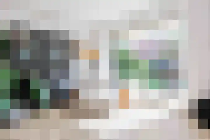 Snepper 15 Franeker thumbnail 22
