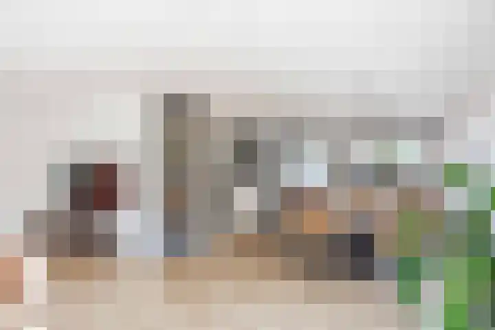 Snepper 15 Franeker thumbnail 23