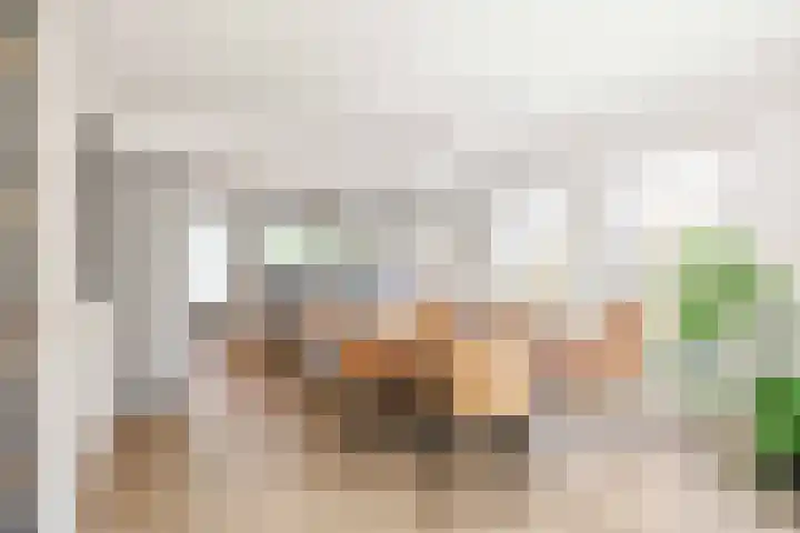 Snepper 15 Franeker thumbnail 24