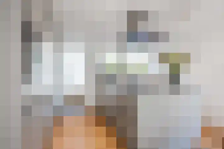 Snepper 15 Franeker thumbnail 25