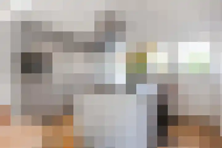 Snepper 15 Franeker thumbnail 26