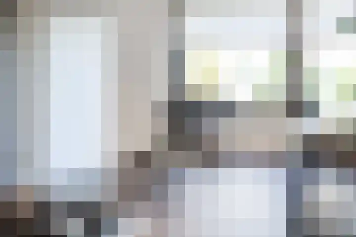 Snepper 15 Franeker thumbnail 27