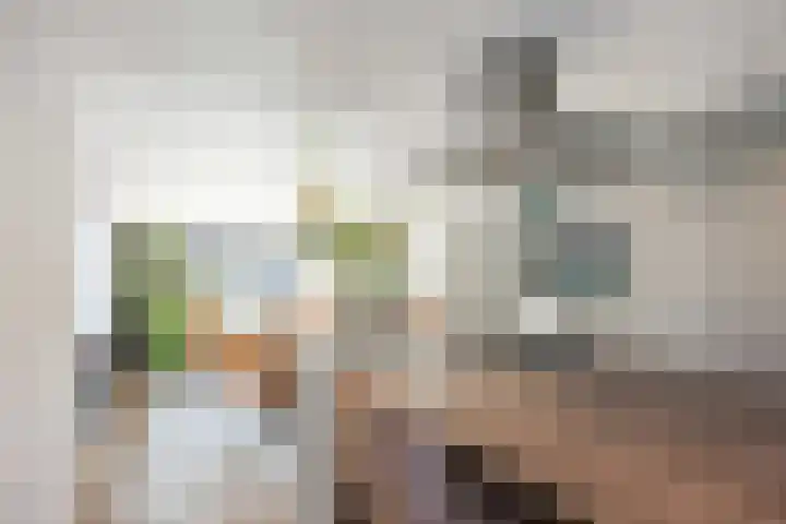 Snepper 15 Franeker thumbnail 28