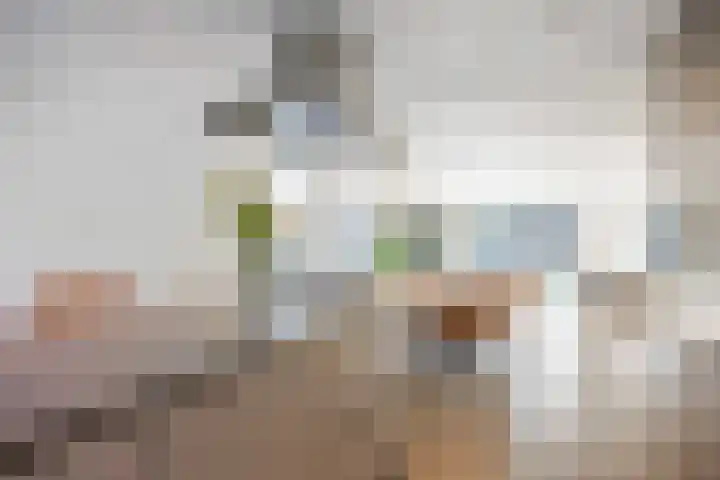 Snepper 15 Franeker thumbnail 30