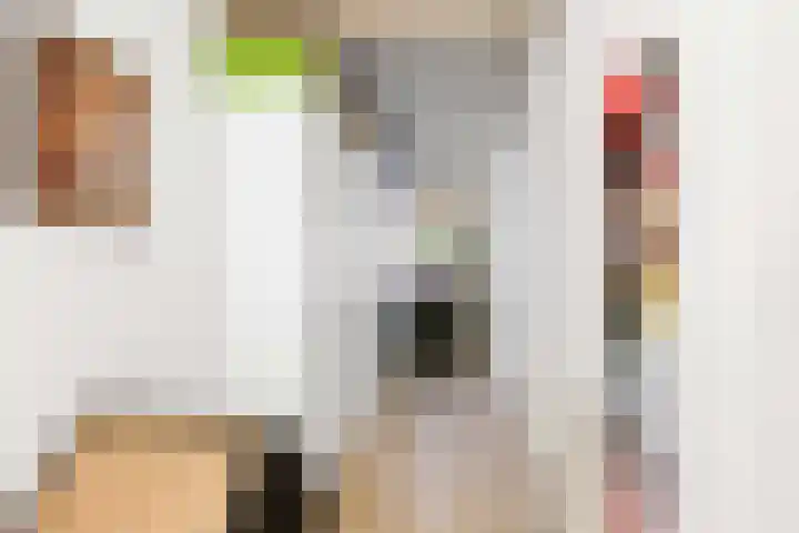 Snepper 15 Franeker thumbnail 32