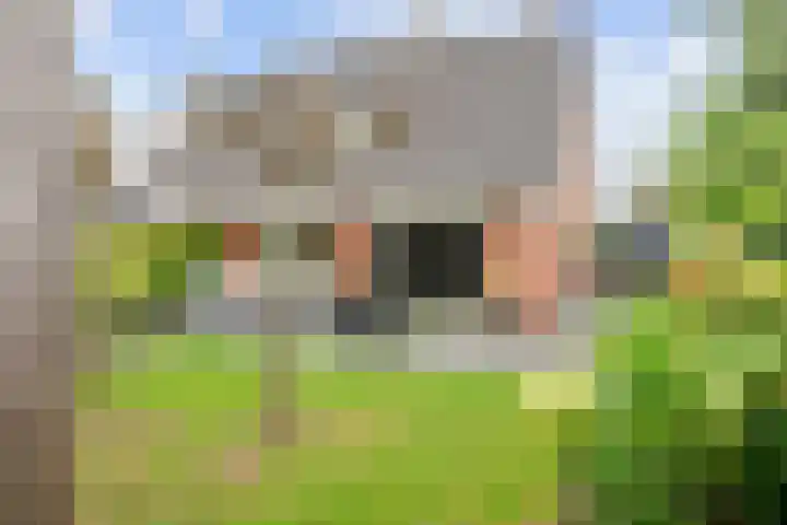 Snepper 15 Franeker thumbnail 34