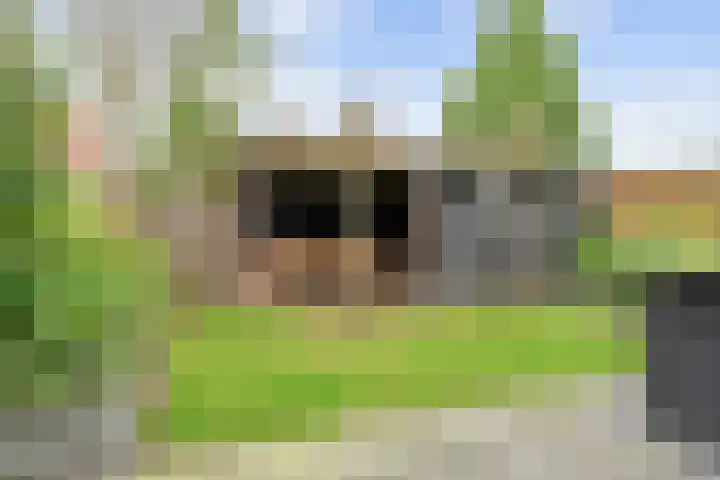 Snepper 15 Franeker thumbnail 36