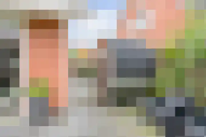 Snepper 15 Franeker thumbnail 38