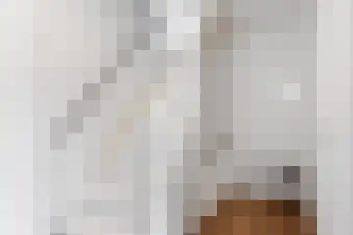 Snepper 15 Franeker thumbnail 39