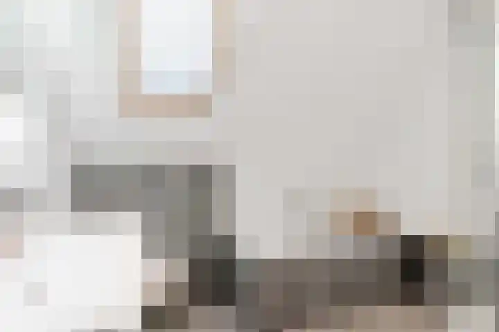 Snepper 15 Franeker thumbnail 4