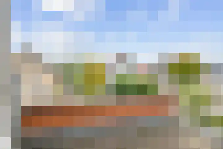 Snepper 15 Franeker thumbnail 43