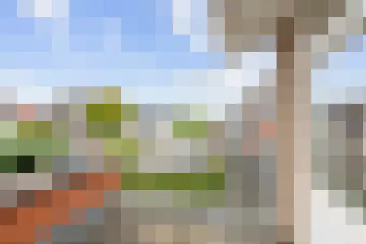 Snepper 15 Franeker thumbnail 44