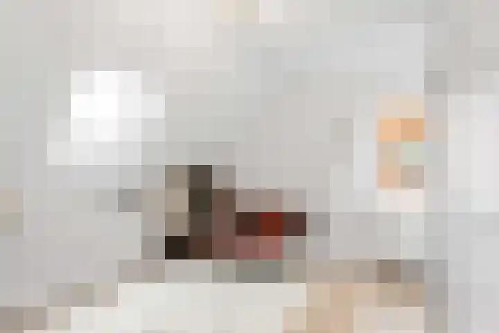 Snepper 15 Franeker thumbnail 45