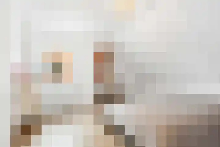 Snepper 15 Franeker thumbnail 47