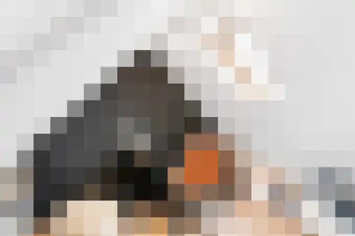 Snepper 15 Franeker thumbnail 55