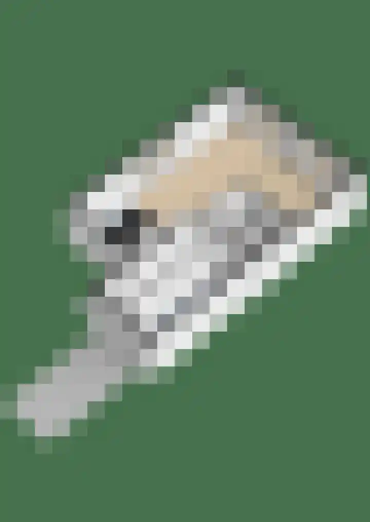 Snepper 15 Franeker thumbnail 57