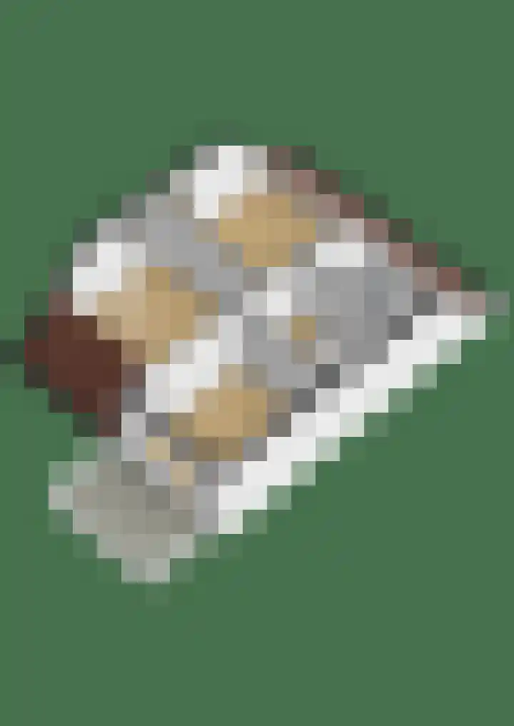 Snepper 15 Franeker thumbnail 59