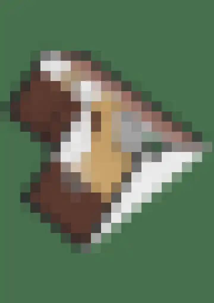 Snepper 15 Franeker thumbnail 61