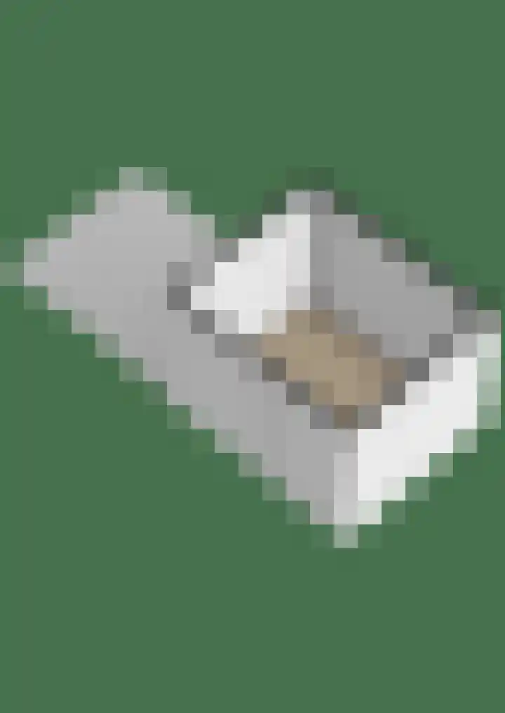 Snepper 15 Franeker thumbnail 63
