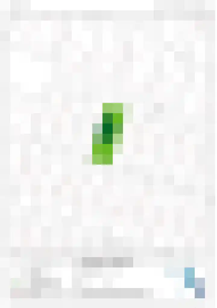 Snepper 15 Franeker thumbnail 64