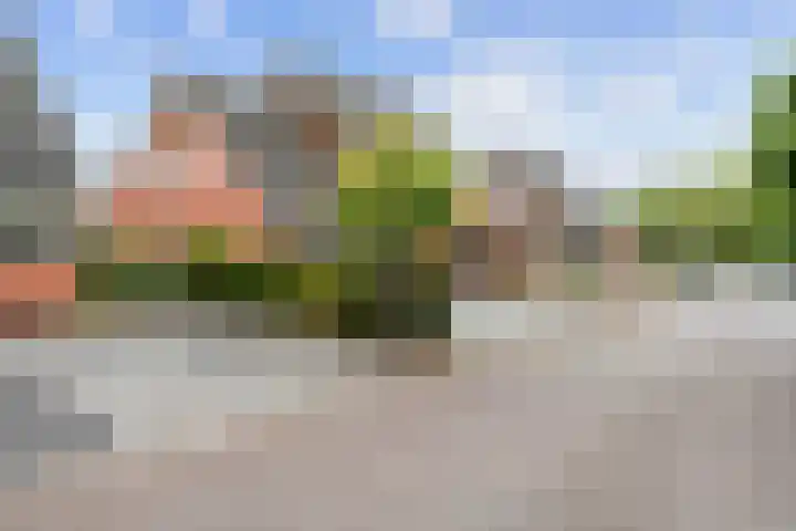Snepper 15 Franeker thumbnail 8